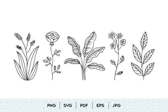 Botanical Floral Elements SVG Set for Graphics and Illustrations